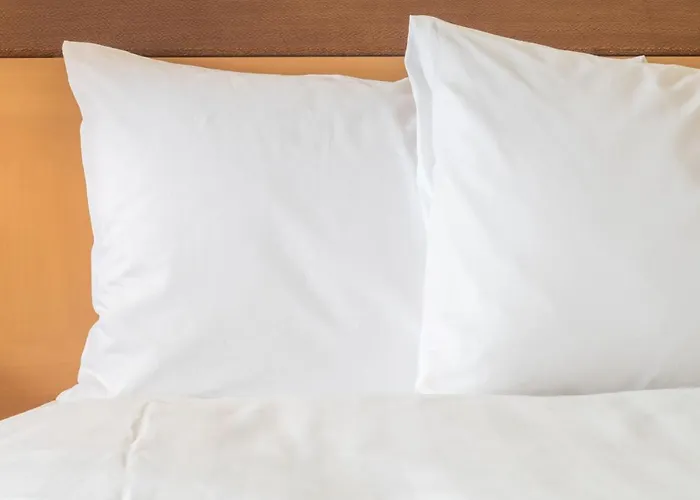 Express - Magnificent Mile By Ihg 3*