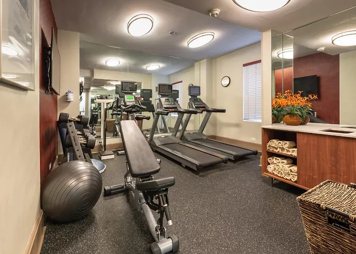 Express - Magnificent Mile By Ihg Hotel